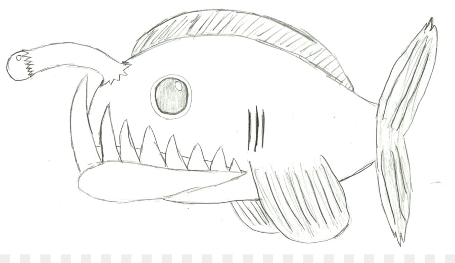 900x520 Drawing Angelfish Anglerfish Sketch - Angel Fish Sketch