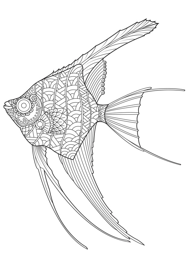 626x885 Hand Drawn Angel Fish Coloring - Angel Fish Sketch
