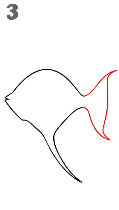 417x735 How To Draw An Angelfish - Angel Fish Sketch