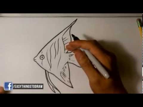 480x360 How To Draw An Angel Fish Easy Drawings - Angel Fish Sketch