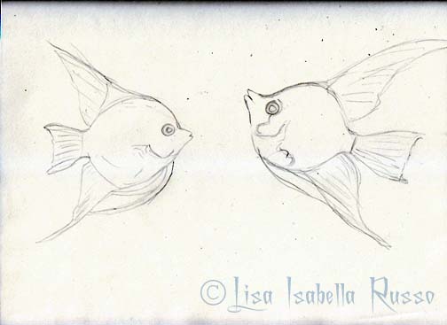 504x367 The Fine Art And Ramblings Of Lisa Isabella Russo Sketch Of Two - Angel Fish Sketch