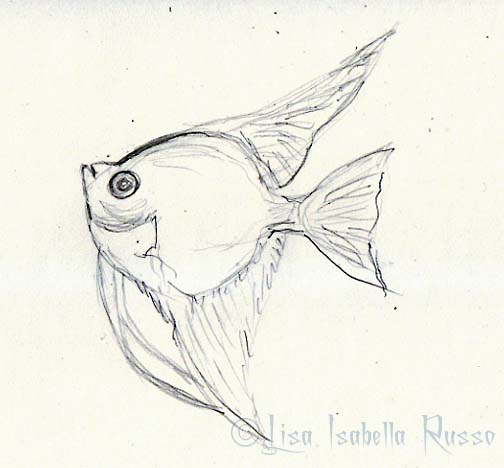 504x468 The Fine Art And Ramblings Of Lisa Isabella Russo Wip Gothic Big - Angel Fish Sketch
