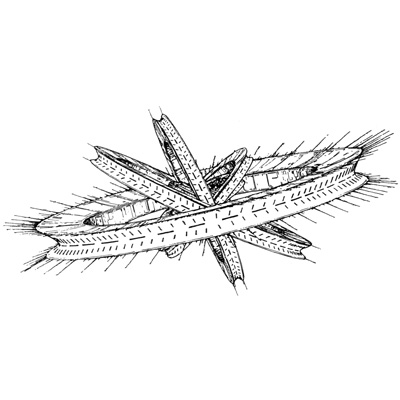 400x400 Rgm 122 Javelin - Angel Halo Sketch