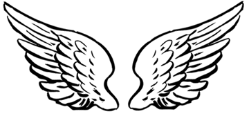 360x168 Drawings Of Angel Wings - Angel Wings Sketch