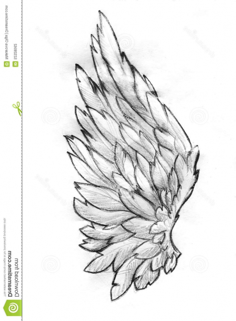 Pencil Drawings Of Angel Wings