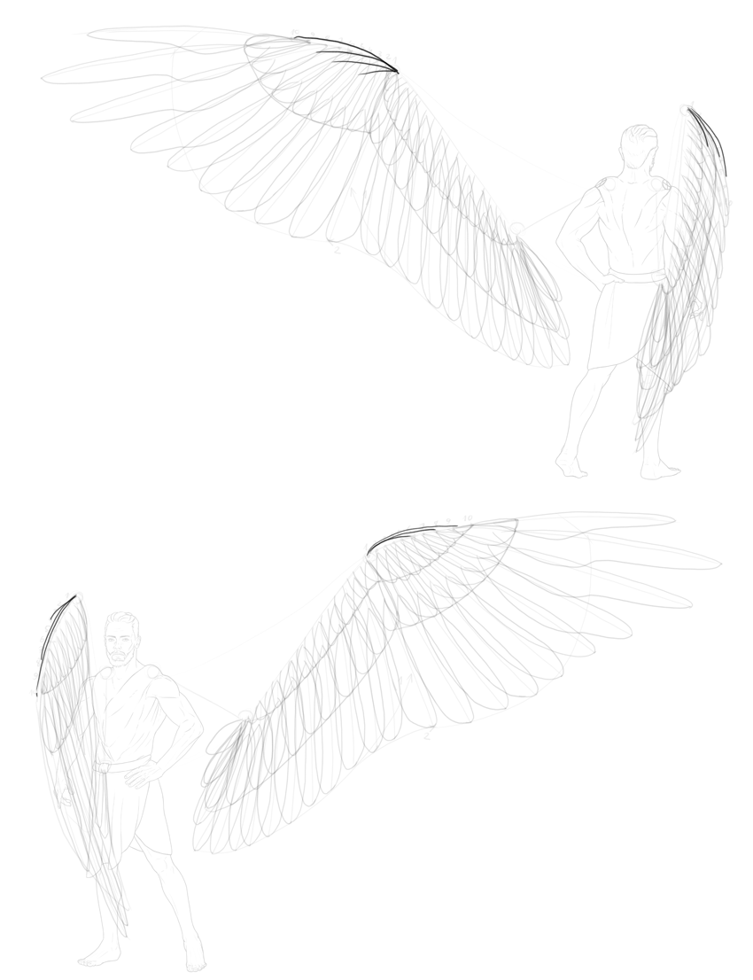 850x1106 How To Draw Angel Wings - Angel Wings Sketch