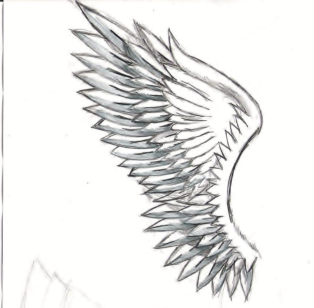1075x1054 Sketches Of Angel Wings Related Keywords Amp Suggestions - Angel Wings Sketch