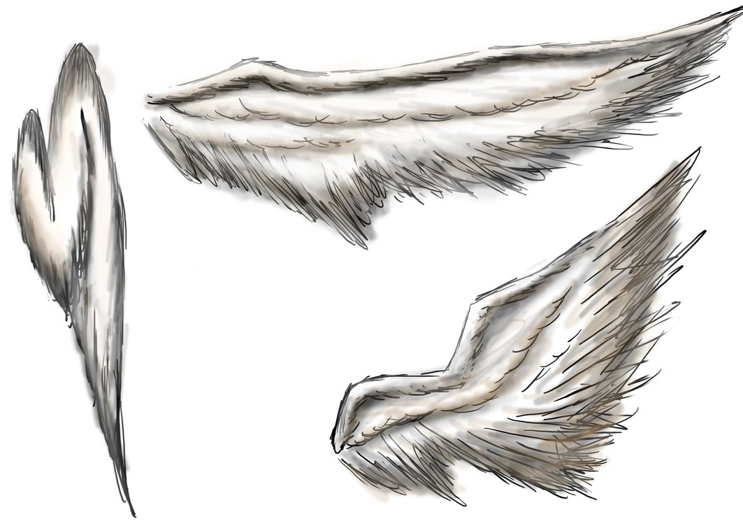1063x752 Angel Wings Sketch By Gumnutbunny - Angel Wings Sketch