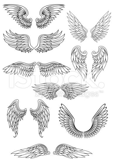 387x556 Heraldic Bird Or Angel Wings Set Isolated On White For Religious - Angel Wings Tattoo Sketch
