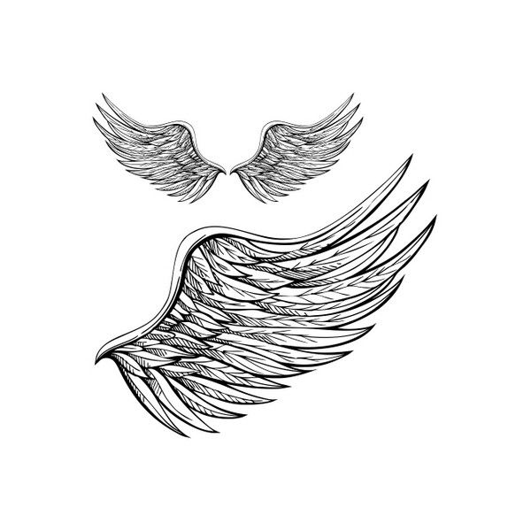 600x600 Drawn Wings Angel Wing - Angel With Wings Sketch