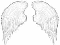 232x176 Heavenly Drawings Of Angel Wings - Angel With Wings Sketch