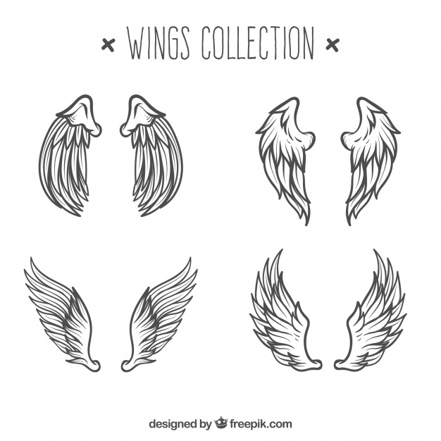 626x626 Wings Vectors, Photos And Psd Files Free Download - Angel With Wings Sketch