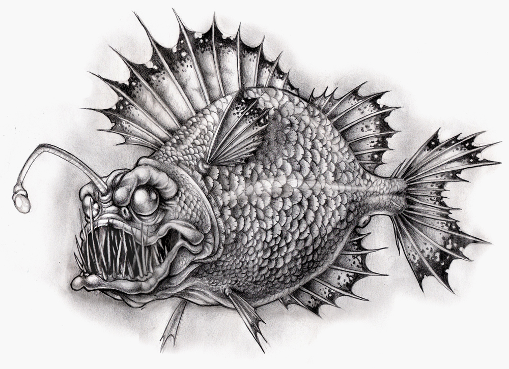 1000x726 Fantasy Angler Fish By Akuma1x - Angler Fish Sketch