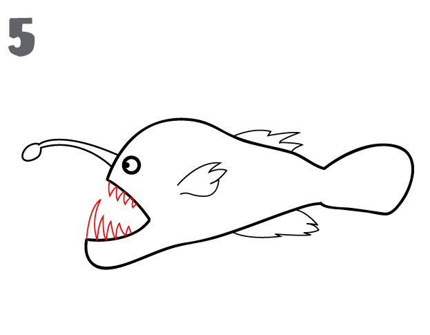 623x485 How To Draw An Anglerfish - Angler Fish Sketch