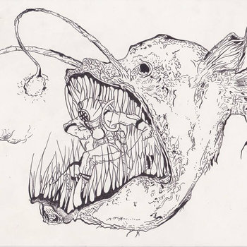 350x350 Music Anglerfish - Angler Fish Sketch