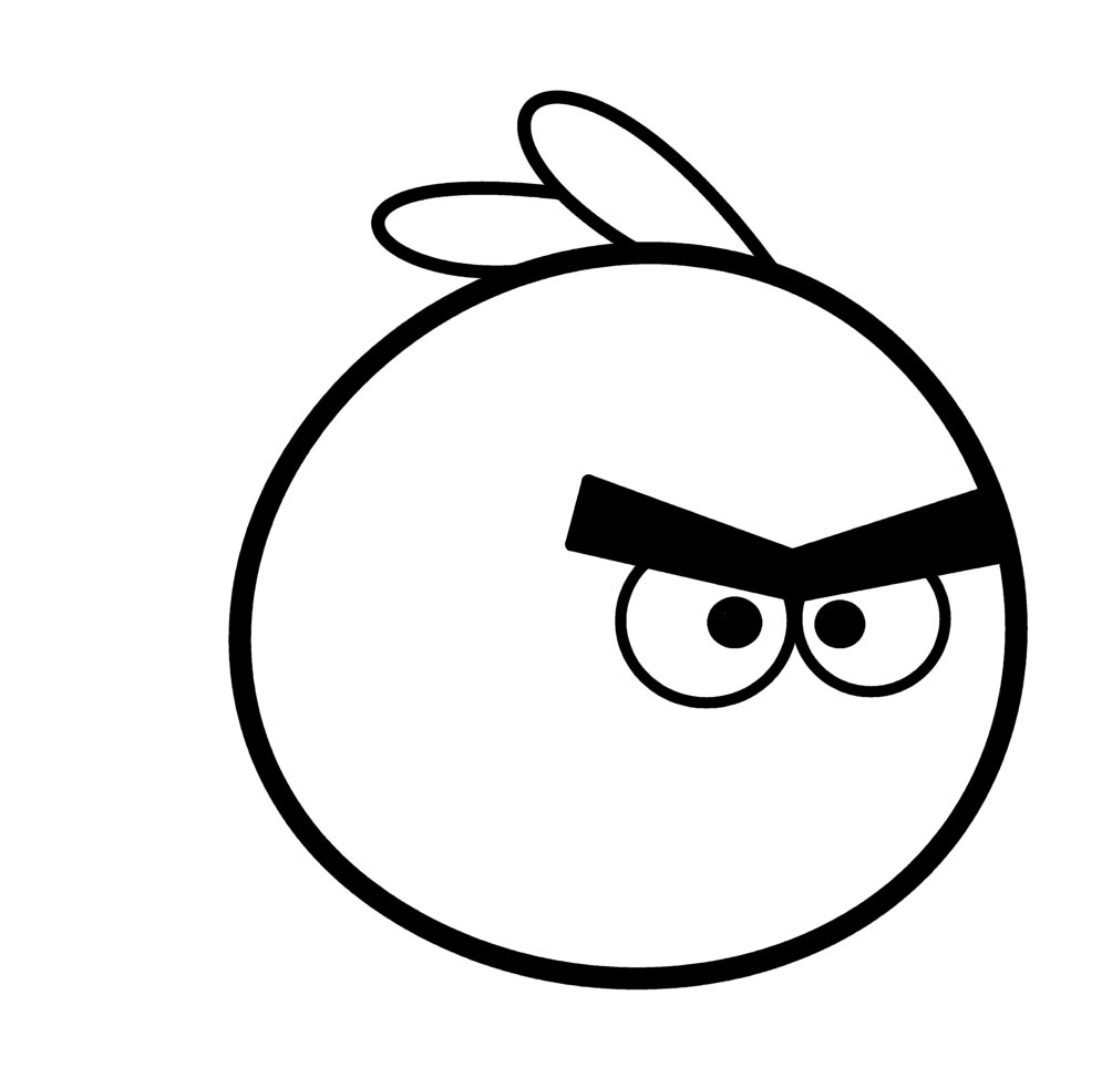 1004x972 How To Draw Cartoons Angry Bird - Angry Bird Sketch