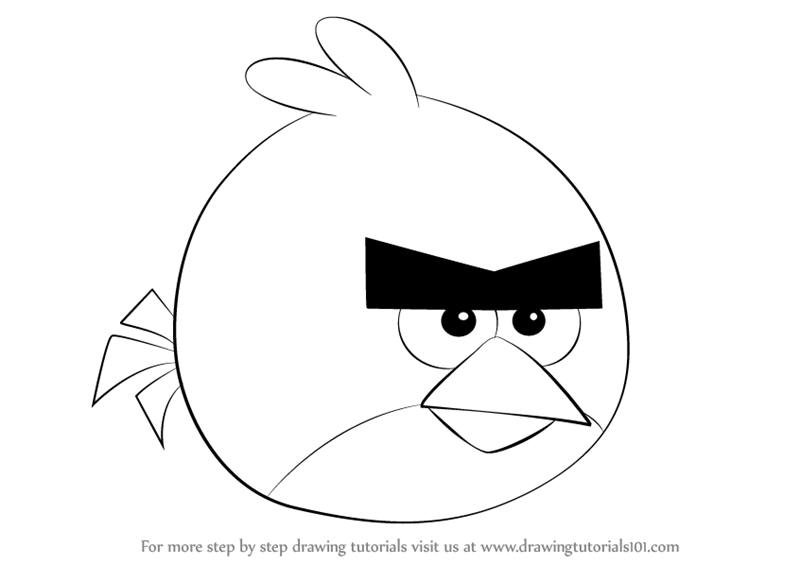 800x564 Learn How To Draw Red From Angry Birds (Angry Birds) Step By Step - Angry Bird Sketch