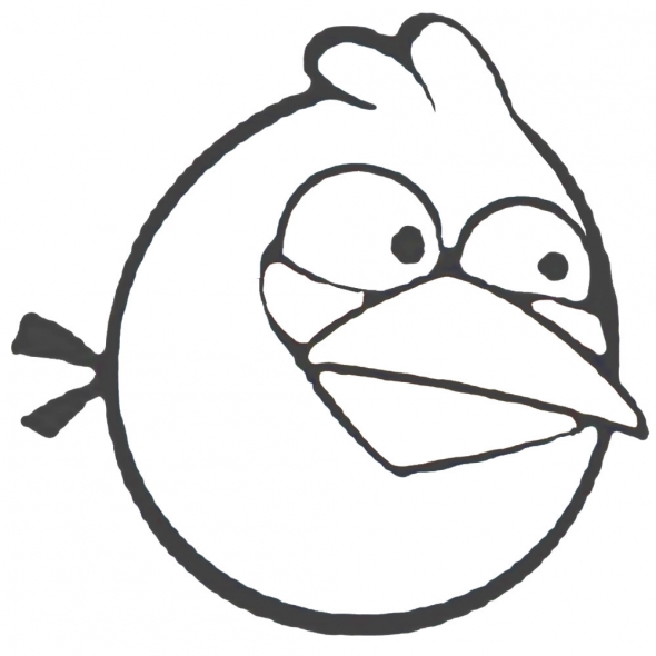 590x590 My Angry Birds! Mywonderfullife101 - Angry Bird Sketch