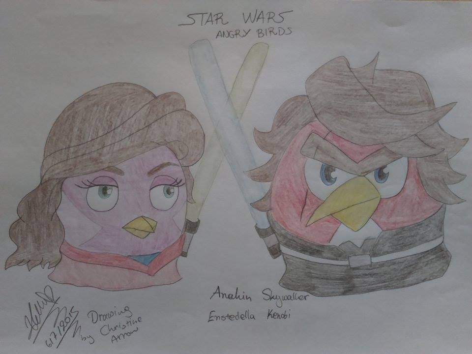 960x720 Angry Birds Star Wars By Christinepresley - Angry Birds Star Wars Sketch