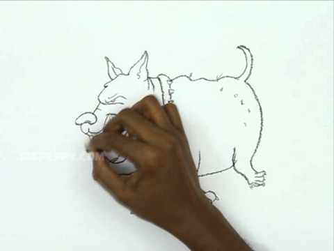 480x360 How To Draw A Fat Angry Dog - Angry Dog Sketch