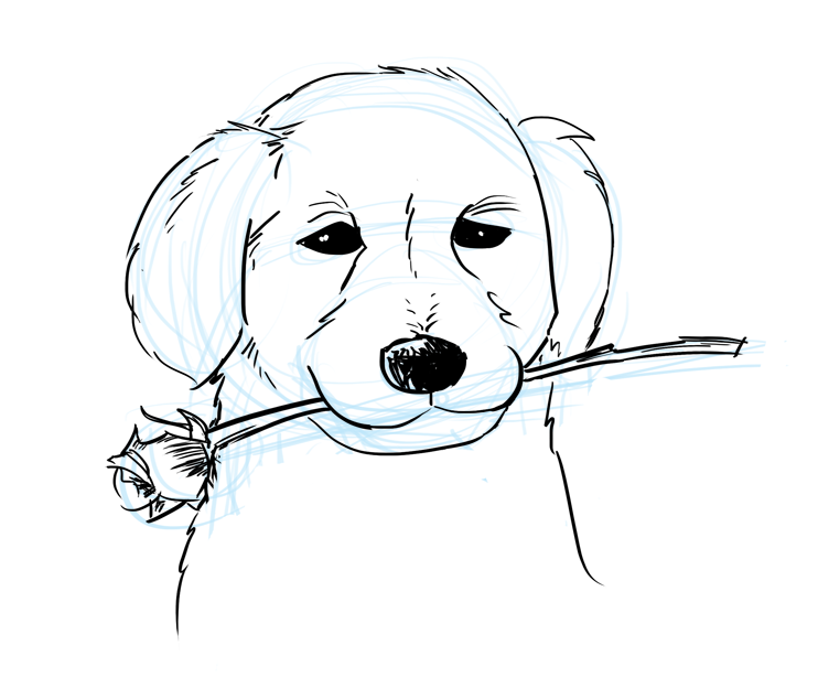 742x634 Angry Dog Face Drawing - Angry Dog Sketch