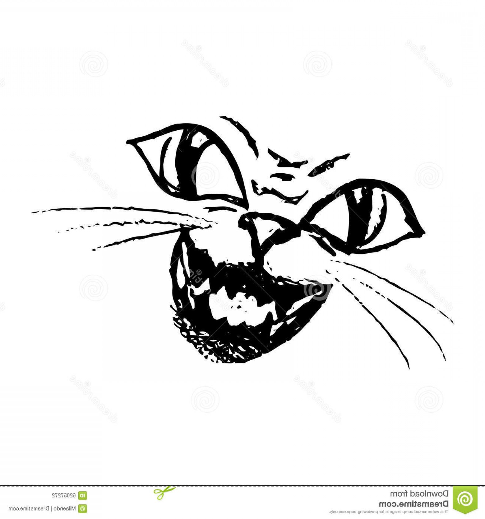 1560x1668 Stock Illustration Smile Scary Cat Angry Face Sketch White - Angry Face Sketch