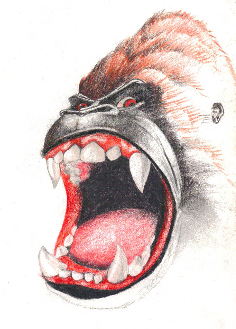 Angry Gorilla Sketch at Explore collection of