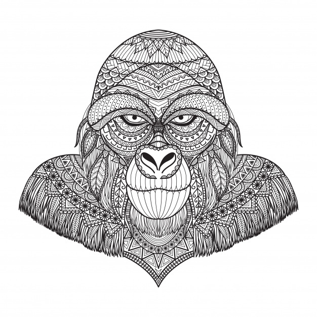 626x626 Angry Gorilla Face Vector Vector Free Download - Angry Gorilla Sketch