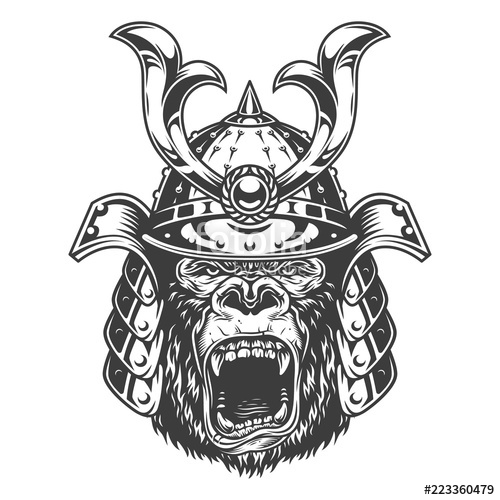 500x500 Vintage Monochrome Angry Gorilla Head Stock Image And Royalty - Angry Gorilla Sketch