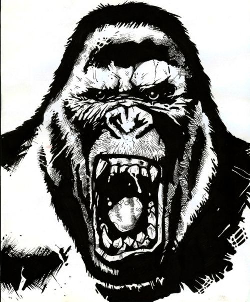 500x603 Angry Gorilla - Angry Gorilla Sketch
