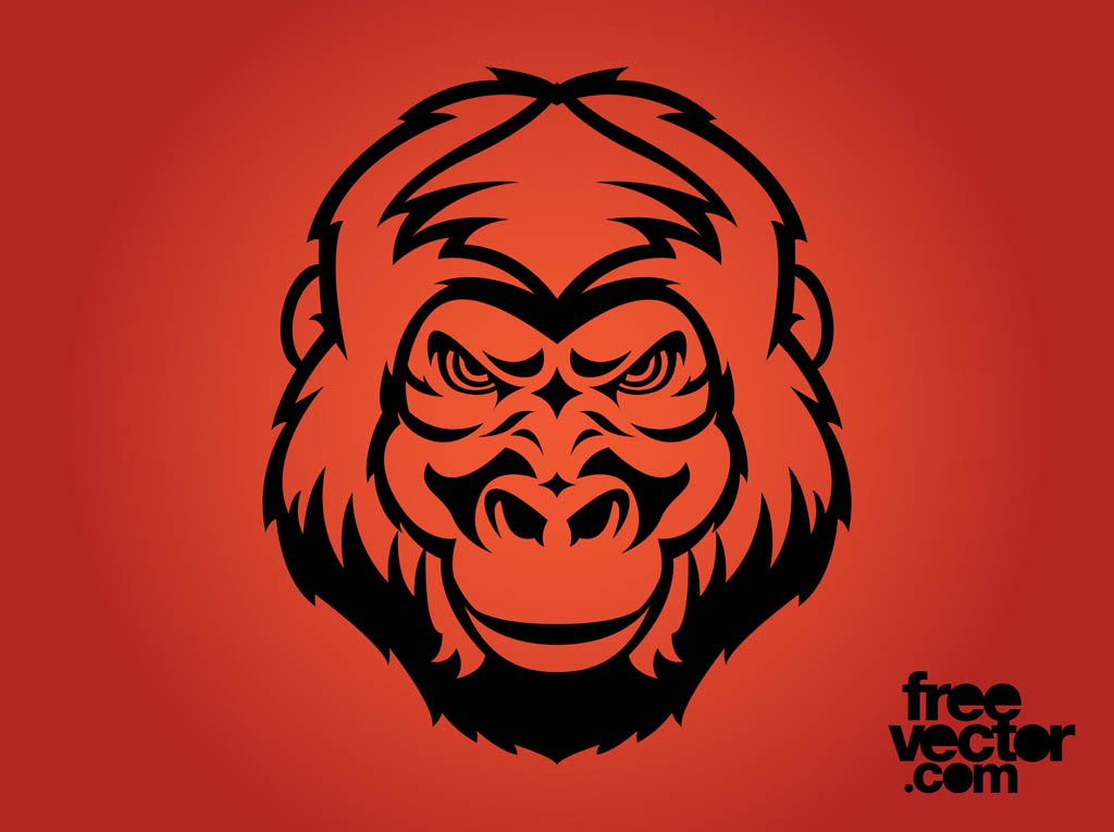 1024x765 Angry Gorilla Face Vector Art Amp Graphics - Angry Gorilla Sketch