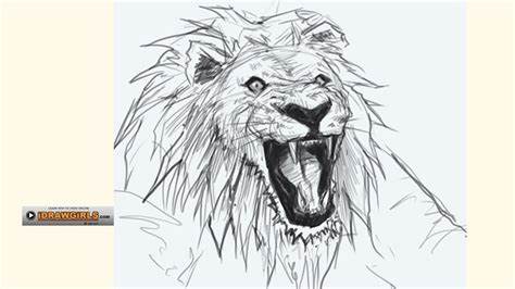 474x266 Angry Lion Pencil Drawing. Angry Pencil Drawings Angry Hulk - Angry Lion Sketch