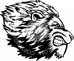 250x207 15 Drawing Lions Angry Lion For Free Download On Mbtskoudsalg - Angry Lion Sketch