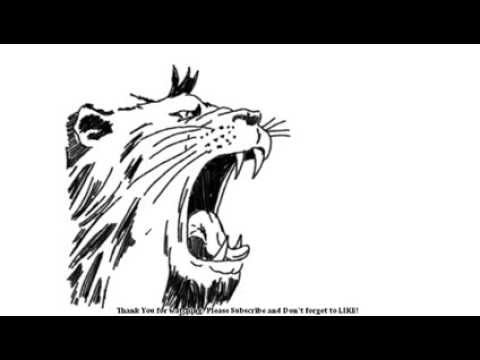 480x360 How To Draw An Angry Lion Yzarts Yzarts - Angry Lion Sketch