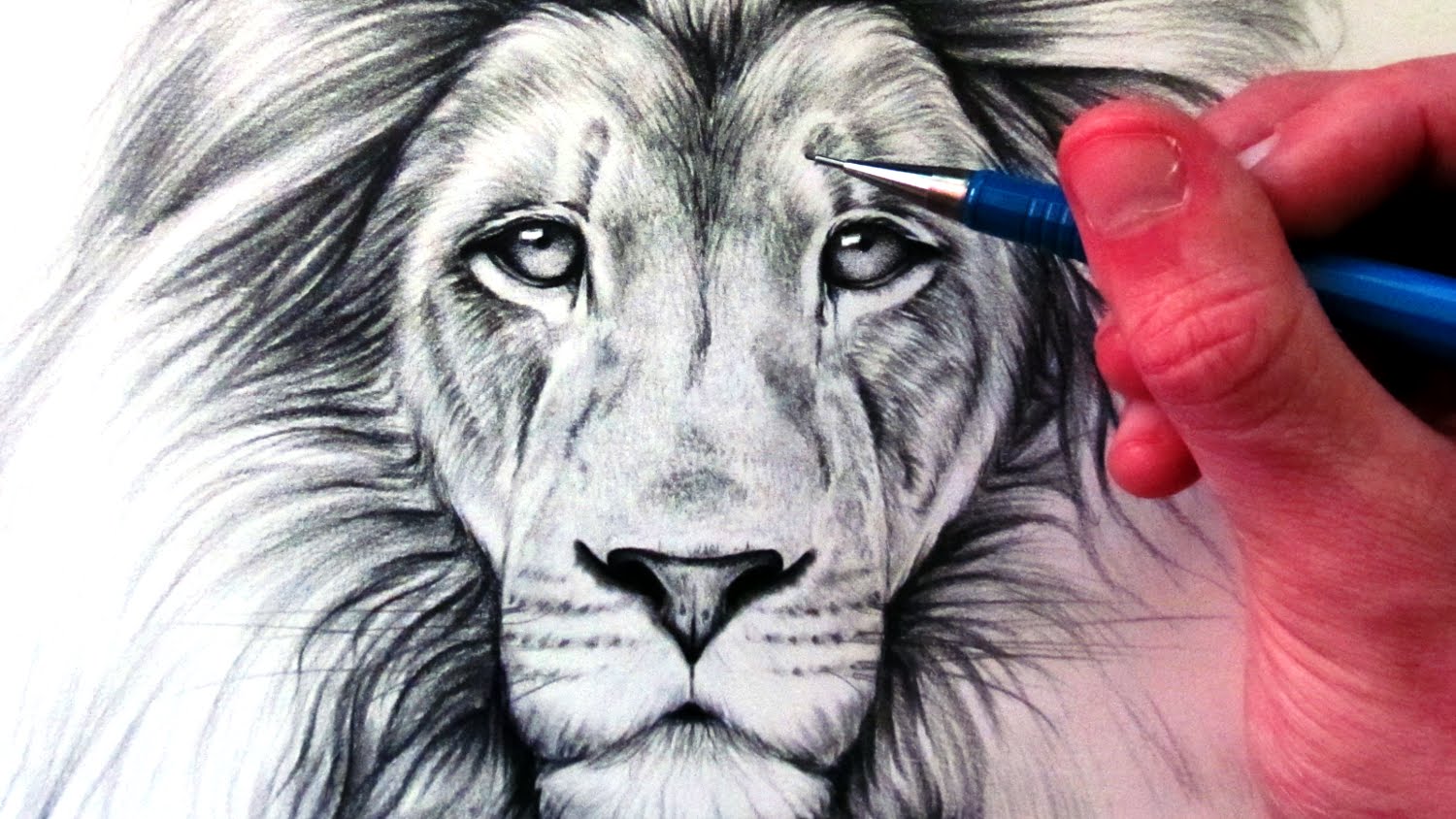 1500x844 How To Draw A Lion - Angry Lion Sketch