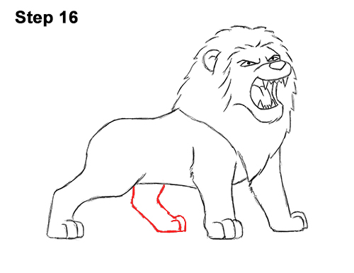 500x386 How To Draw A Lion Roaring (Cartoon) - Angry Lion Sketch