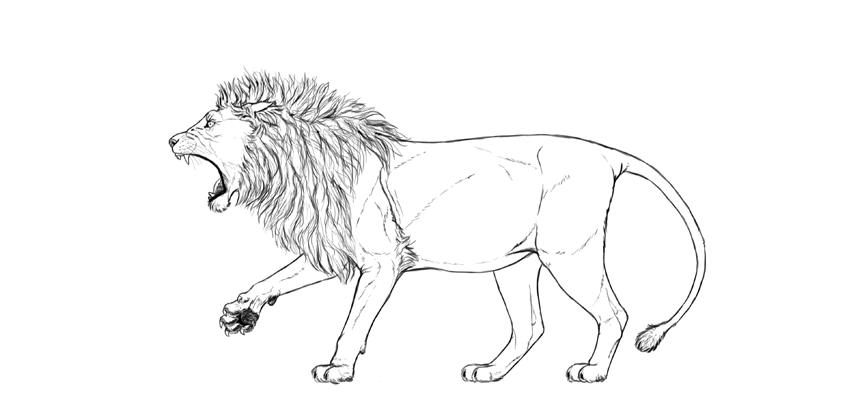 850x414 How To Draw A Roaring Lion Step By Step - Angry Lion Sketch