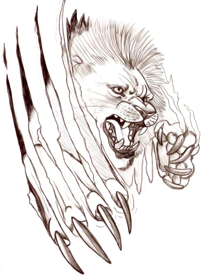 691x944 Lion Tattoo Clipart Sketch - Angry Lion Sketch