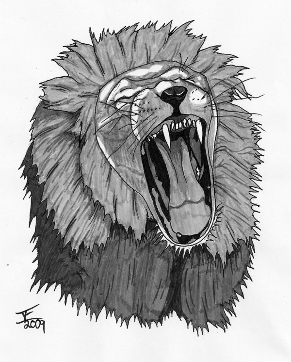 Angry Lion Sketch at Explore collection of Angry