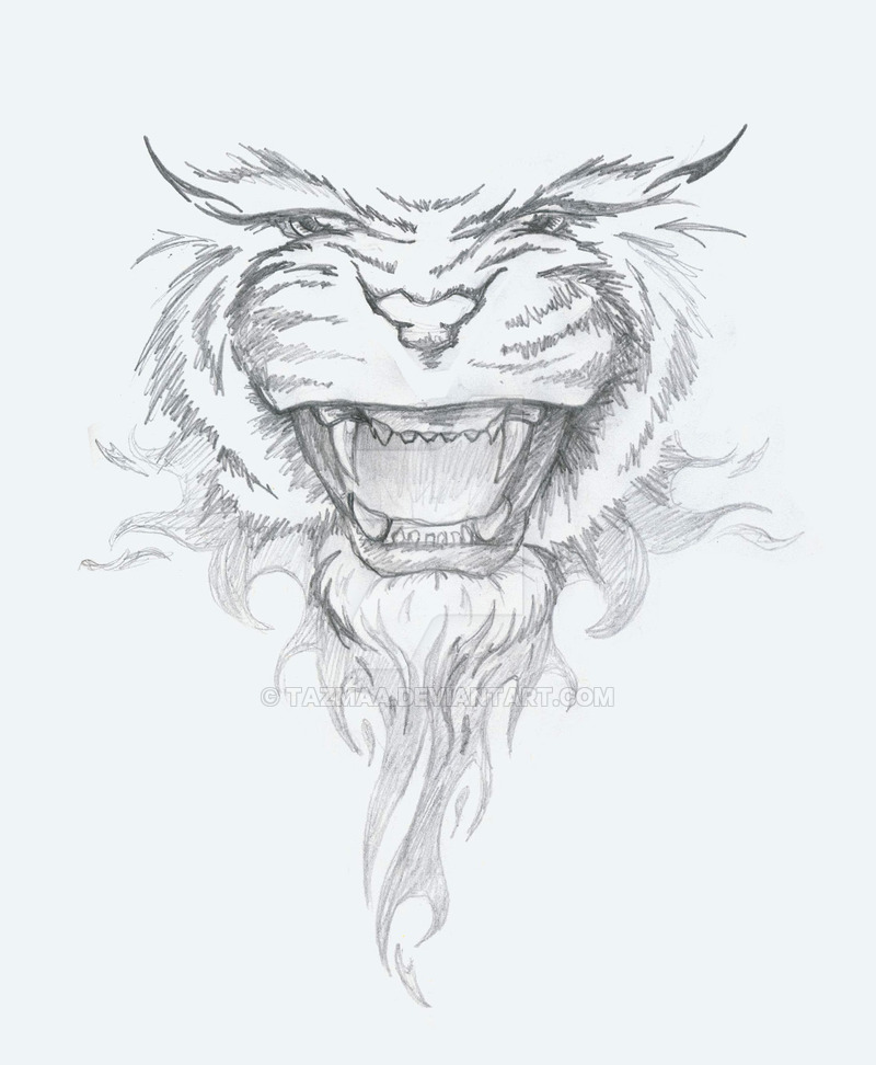 800x972 Sketch Angry Tiger By Tazmaa - Angry Sketches