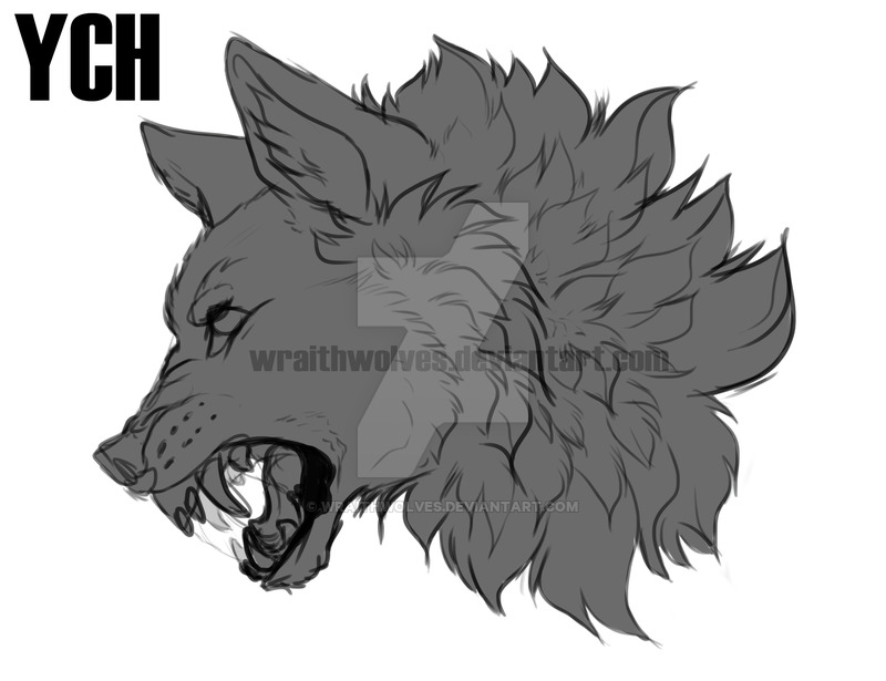800x615 Angry Wolf Ych - Angry Wolf Sketch