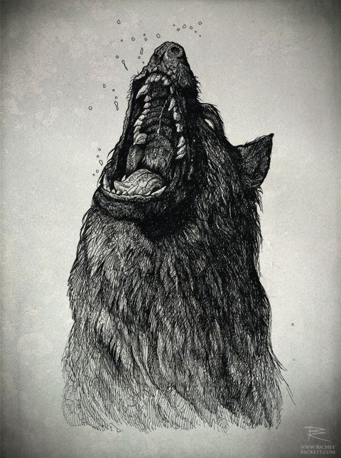 480x645 Angry Wolf Sketch, Drawing Art Inspiration Art - Angry Wolf Sketch