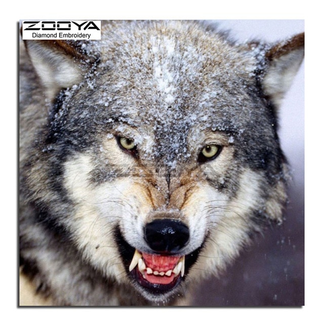 640x640 Photos Angry Wolf Pics, - Angry Wolf Sketch