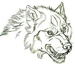 243x208 Pro Angry Wolf Vlci,wolfes - Angry Wolf Sketch
