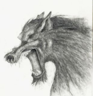 309x321 Angry Wolf - Angry Wolf Sketch