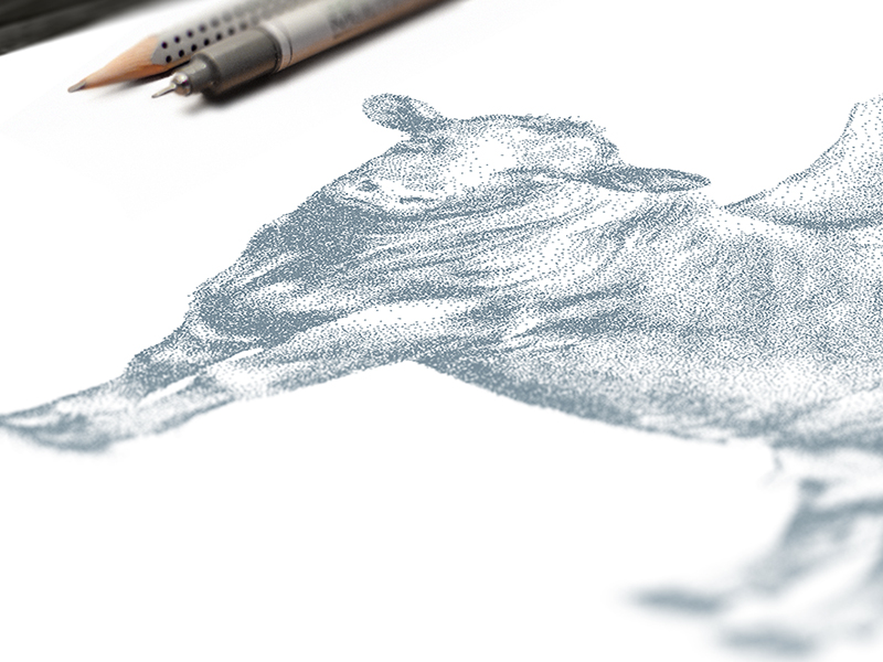 800x600 Dribbble Anima Sketch By Michael Sedlmeier - Anima Sketch