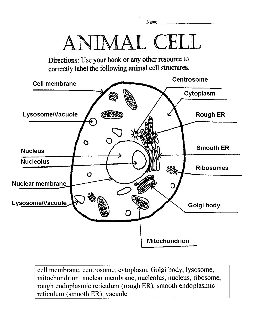 Animal Cell Sketch At Explore Collection Of Animal