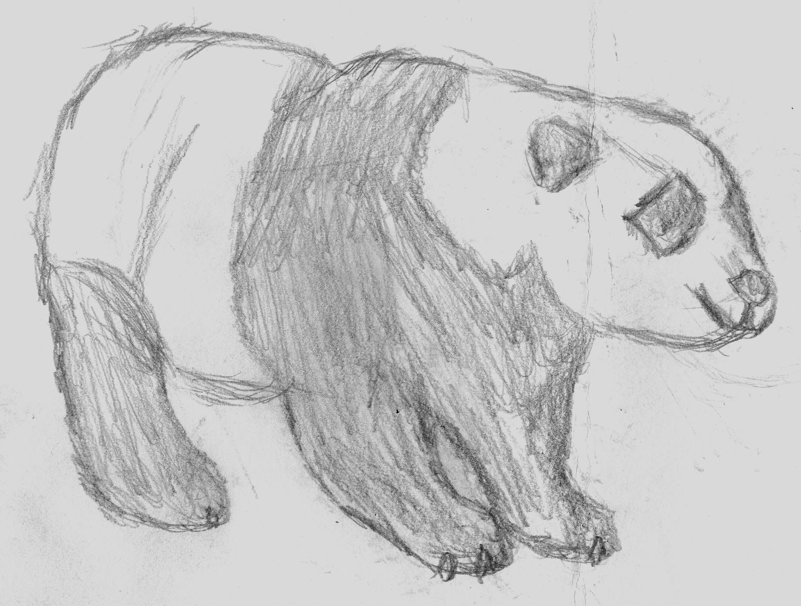1600x1211 Easy Sketches Of Animals - Animal Easy Sketch