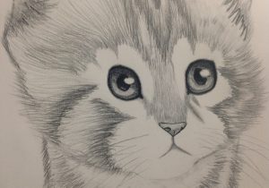 300x210 Easy Sketches Of Animals How To Draw Dog - Animal Easy Sketch