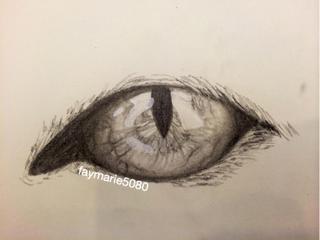 320x240 Liked Drawings By Xxdawn566xx - Animal Eye Sketch